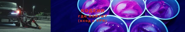 прущие грибы Аркадак